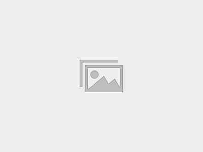 cat – grey – pitt pastel pencils