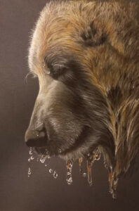 Brown Bear pitt pastel pencils