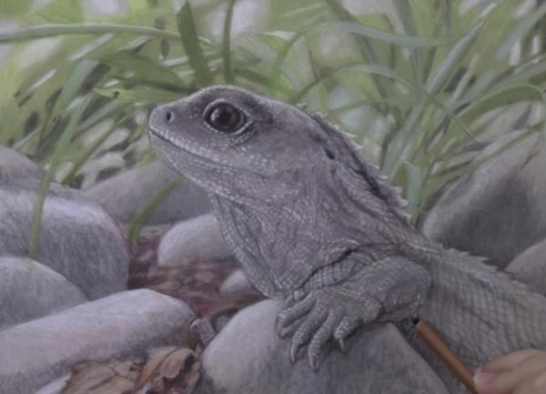 Wildlife Art Course - Module 4
