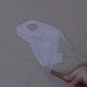 Wildlife Art Course - Module 3