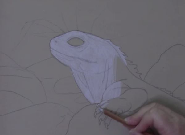 Wildlife Art Course - Module 3