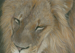 Lion pitt pastel pencils