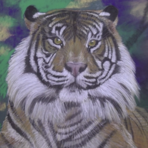 Wildlife Art Course - Module 6