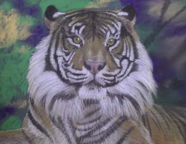 Complete Wild Art Course - Modules 1 to 6