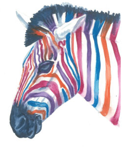 Zebra in water colour markers