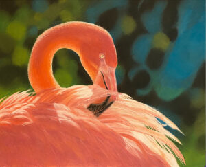 Flamingo - pitt pastel Pencils