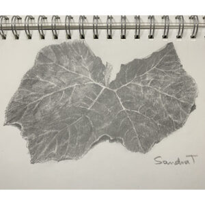 15 Day sketch challenge – Graphite Pencil