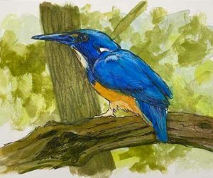 Watercolour workshop for Beginners
