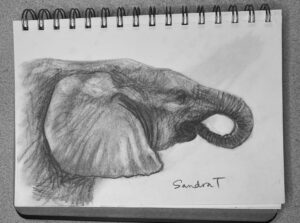 10 Day Sketch Challenge
