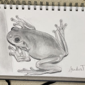 10 Day Sketch Challenge