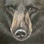 Bear Face