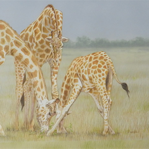 'Centre of Interest'