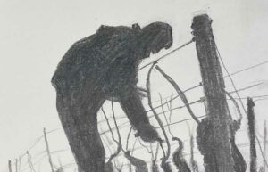 29. Silhouette