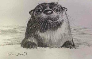 24. Otter