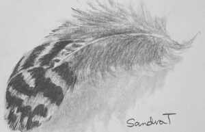 33. Feather