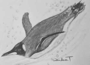 36. Penguin