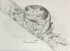 42. Frog