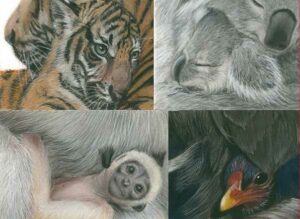 4 x baby portraits