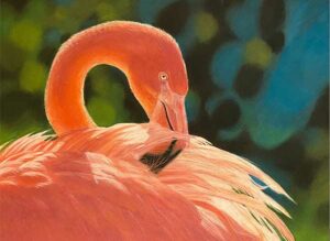 Flamingo pitt pastels