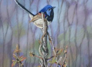 Wren