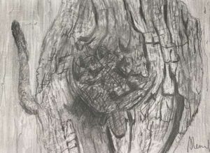 50. Bark