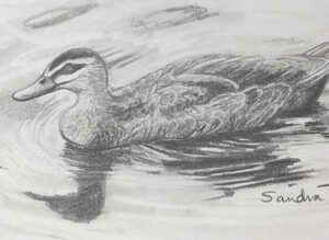 44. Duck