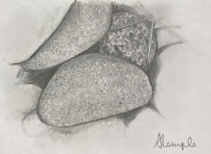 48. Rocks 2
