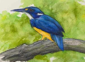 Watercolour