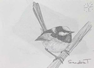 45. Wren
